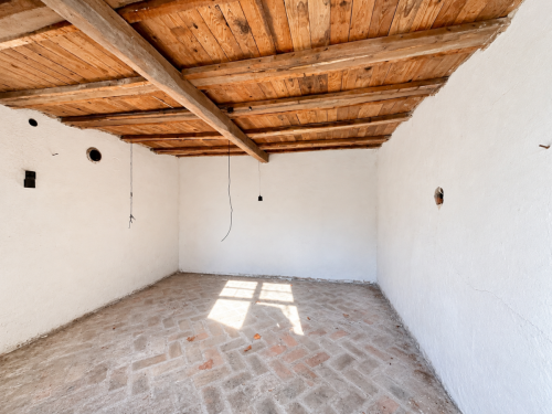 Spacious house with a yard and additional buildings in Branicа, Haskovo - 1500 sq.m, for renovation!